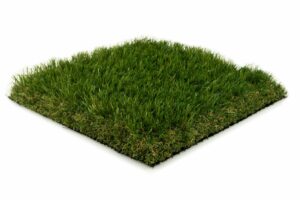 Afbeelding zonder ALT