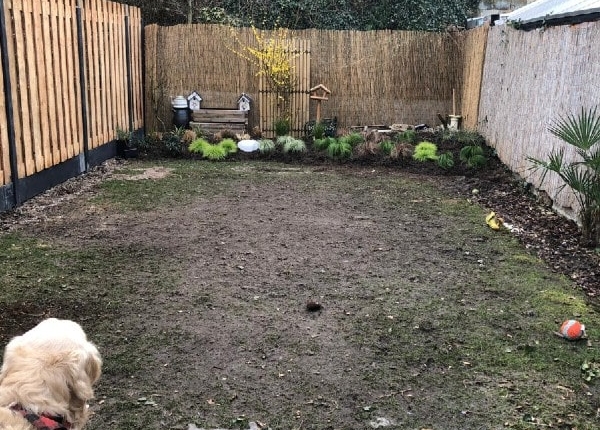 Tuin voor het kunstgras