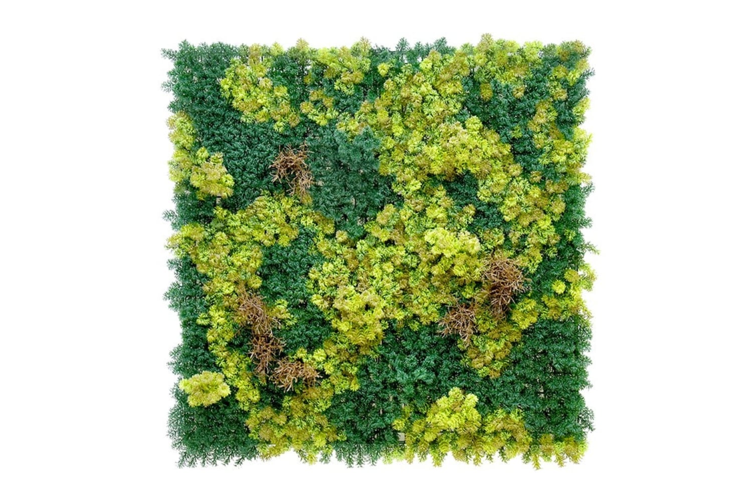 Kunsthaag Moss Congo