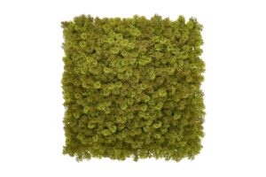 Kunsthaag Moss Taiga