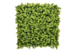 Kunsthaag Moss Tongas
