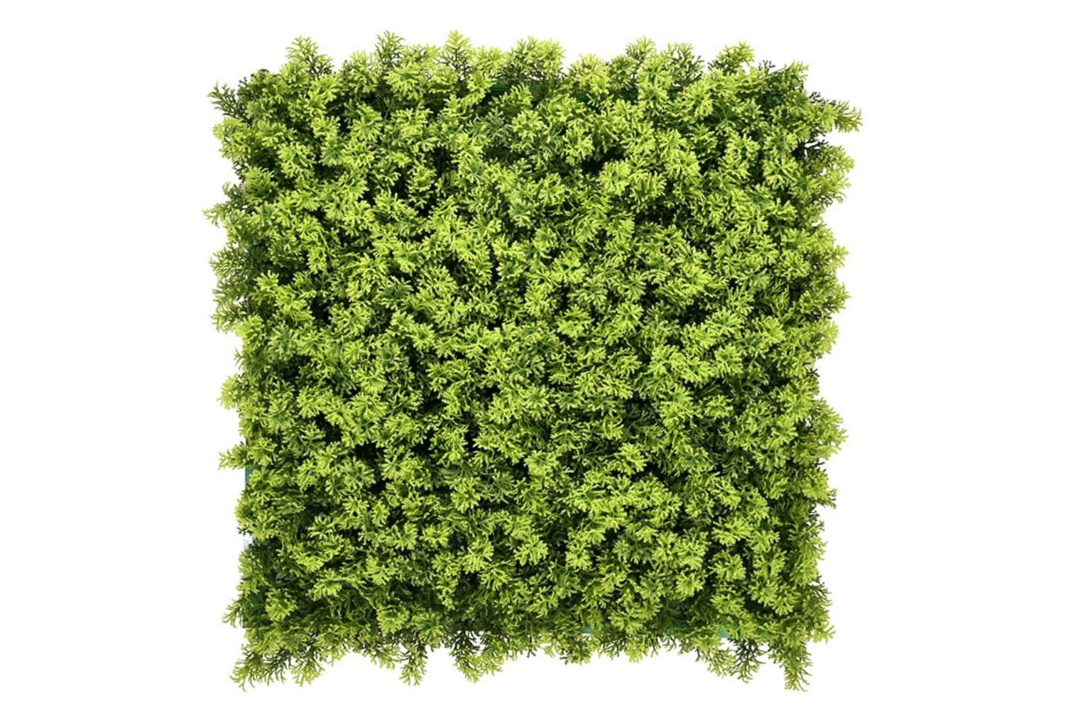 Kunsthaag Moss Tongas
