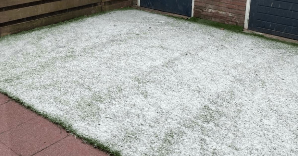 Kunstgras met vorst